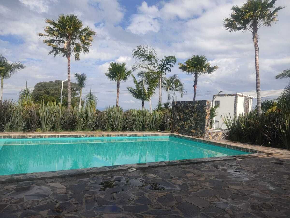 8 de 23