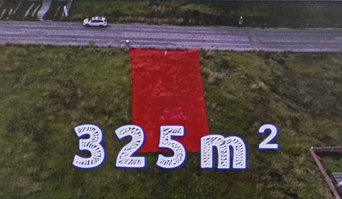 1 de 8