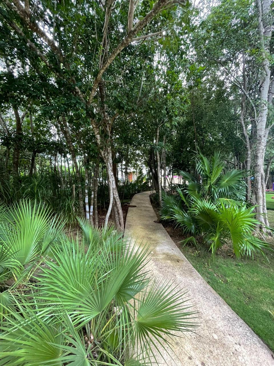 24 de 30