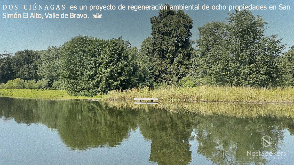 2 de 5