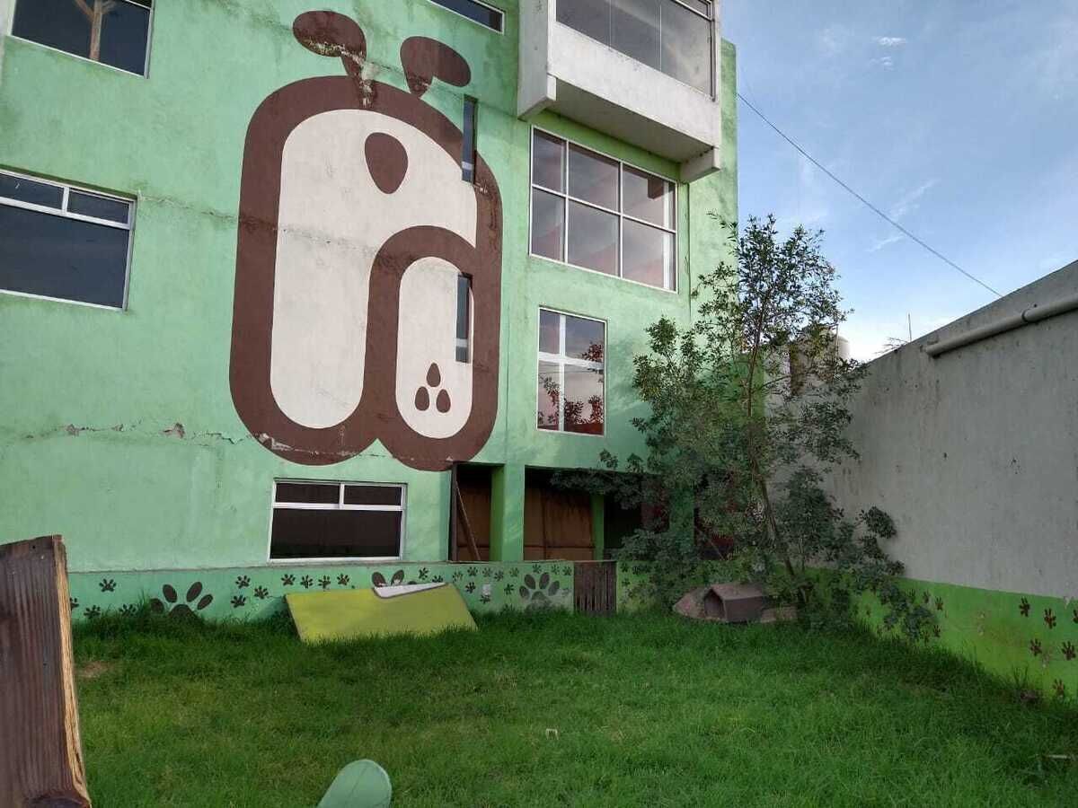 5 de 7