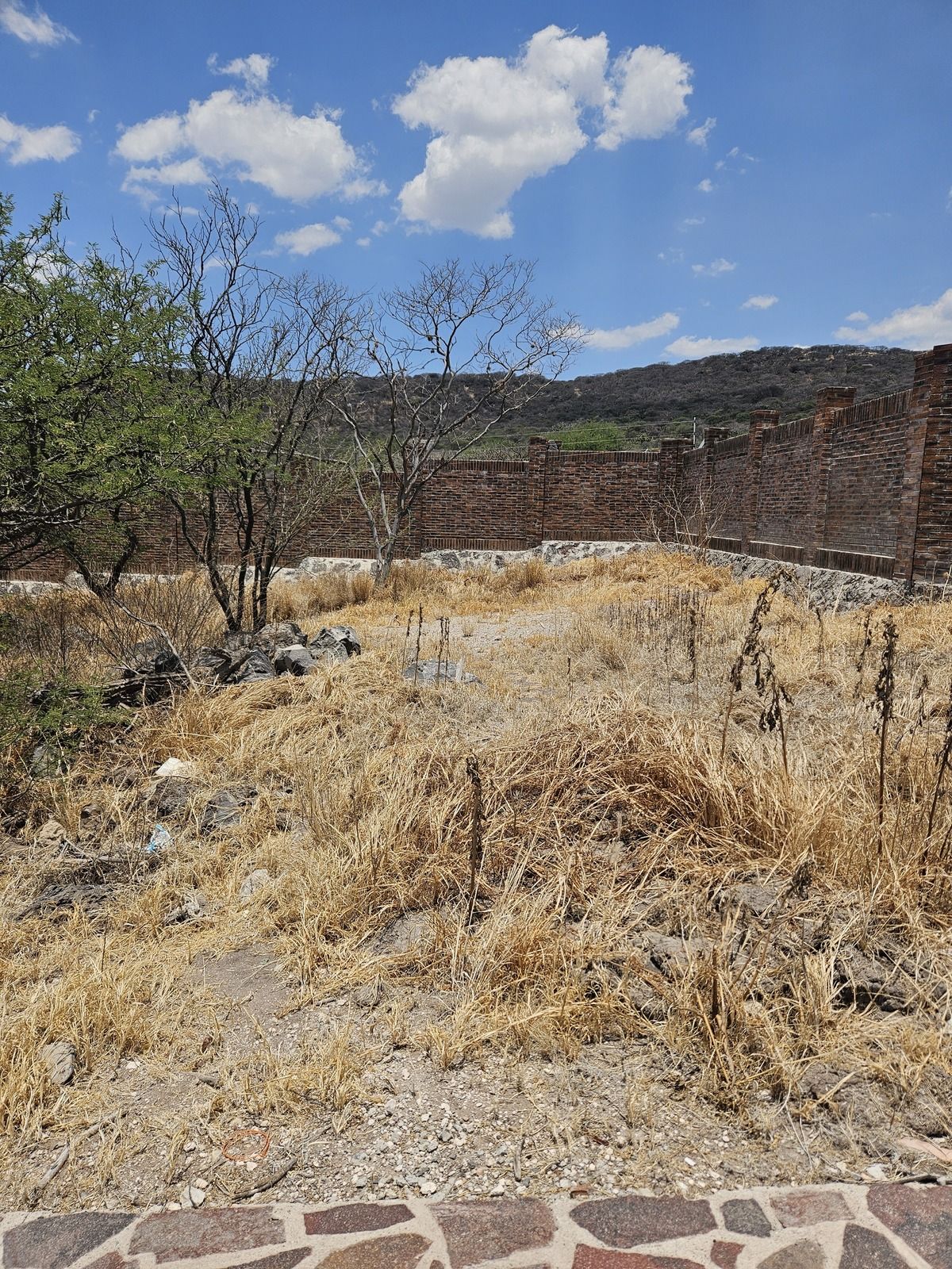 3 de 4