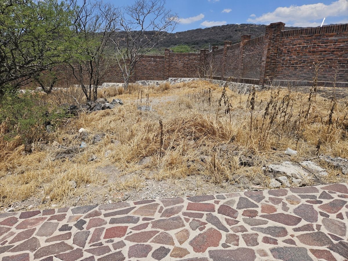 4 de 4