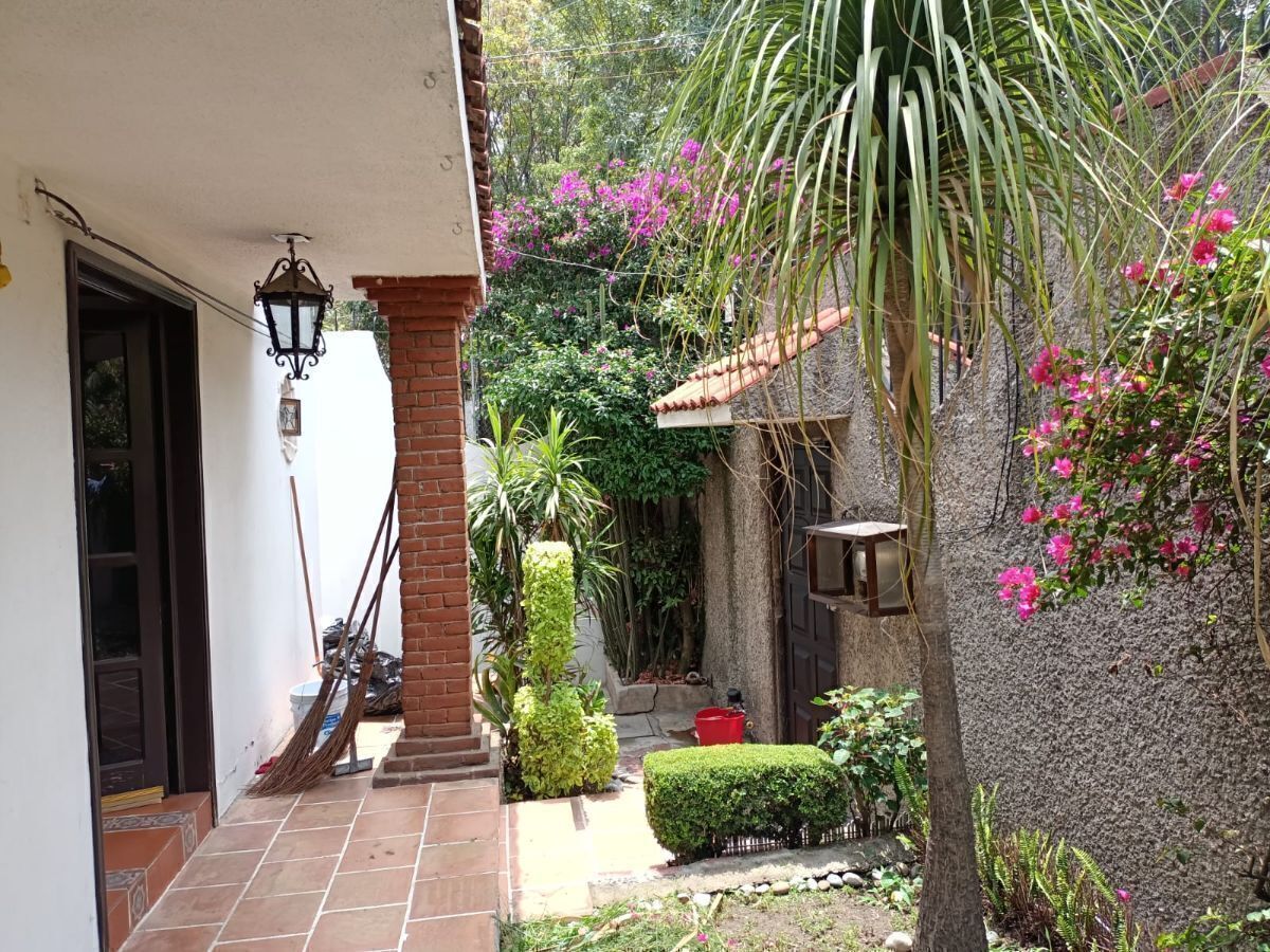 Imagen 3 de 10