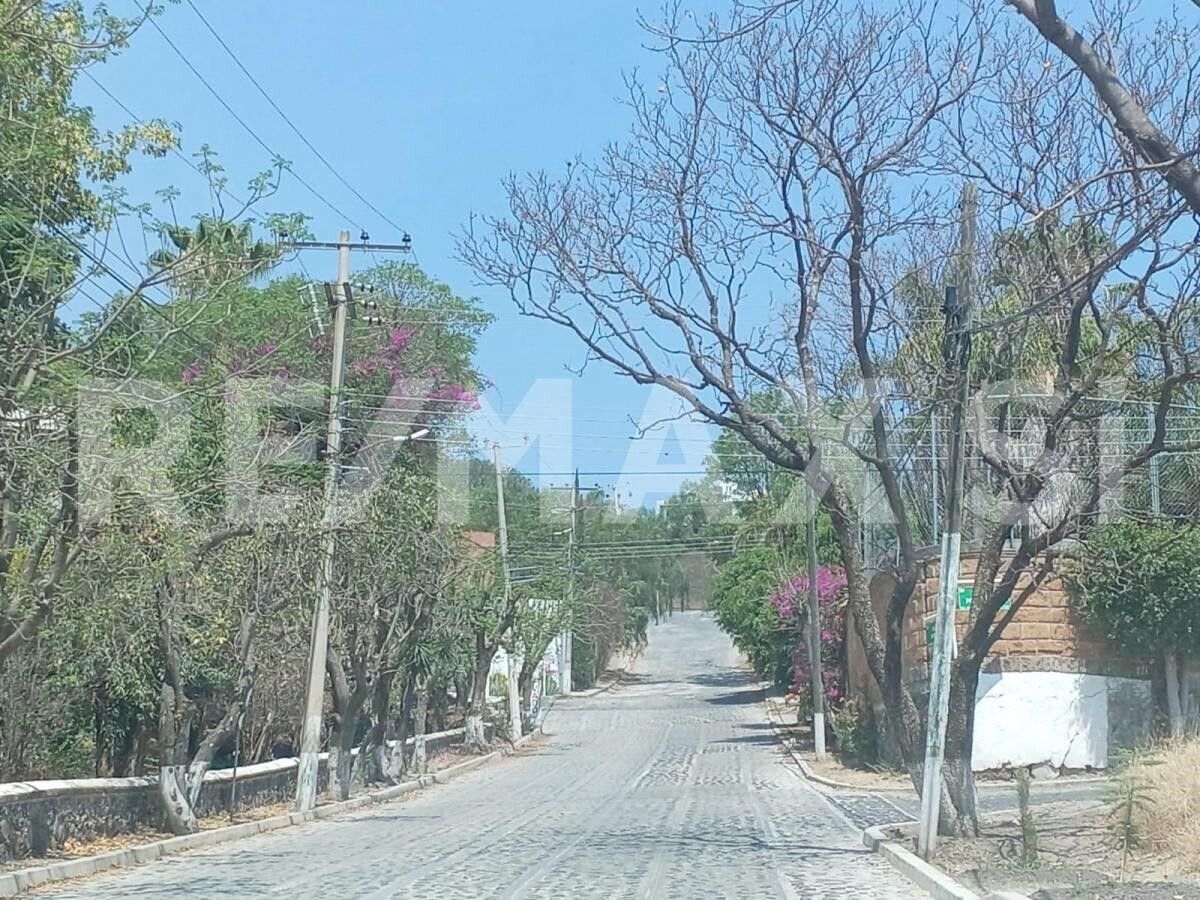 5 de 15