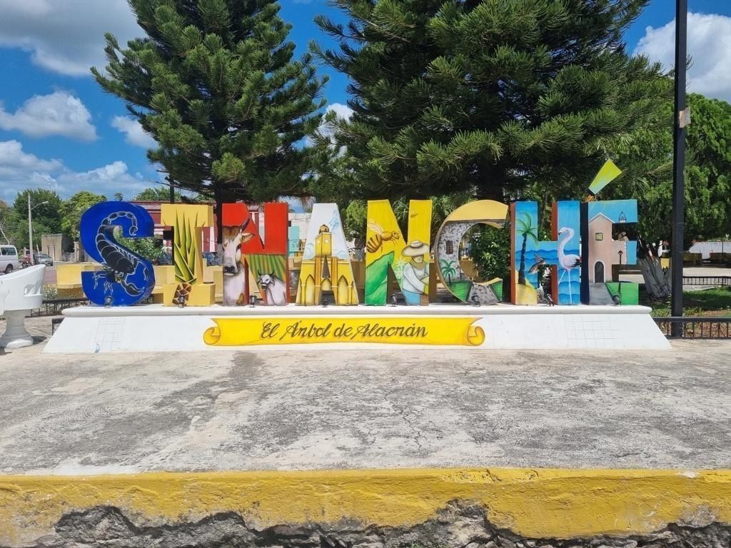 2 de 6