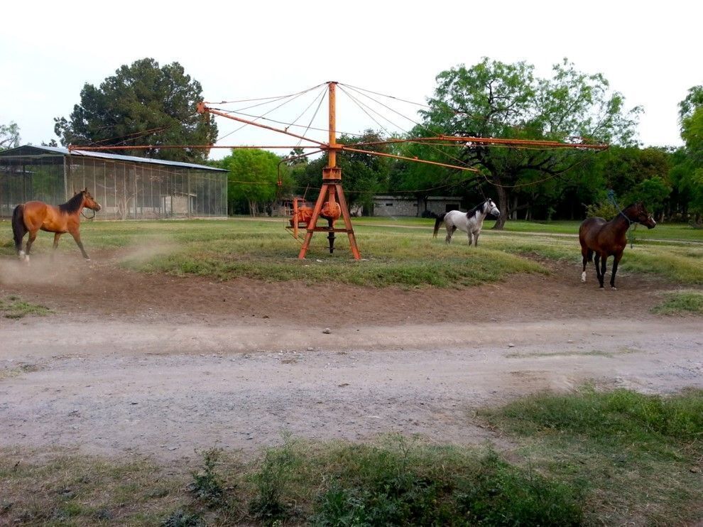5 de 24