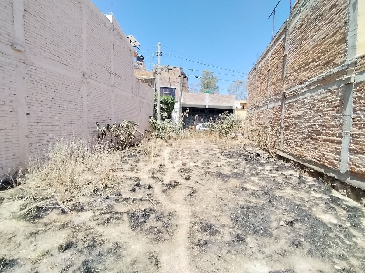 5 de 7