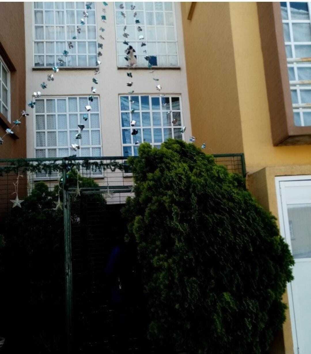1 de 7