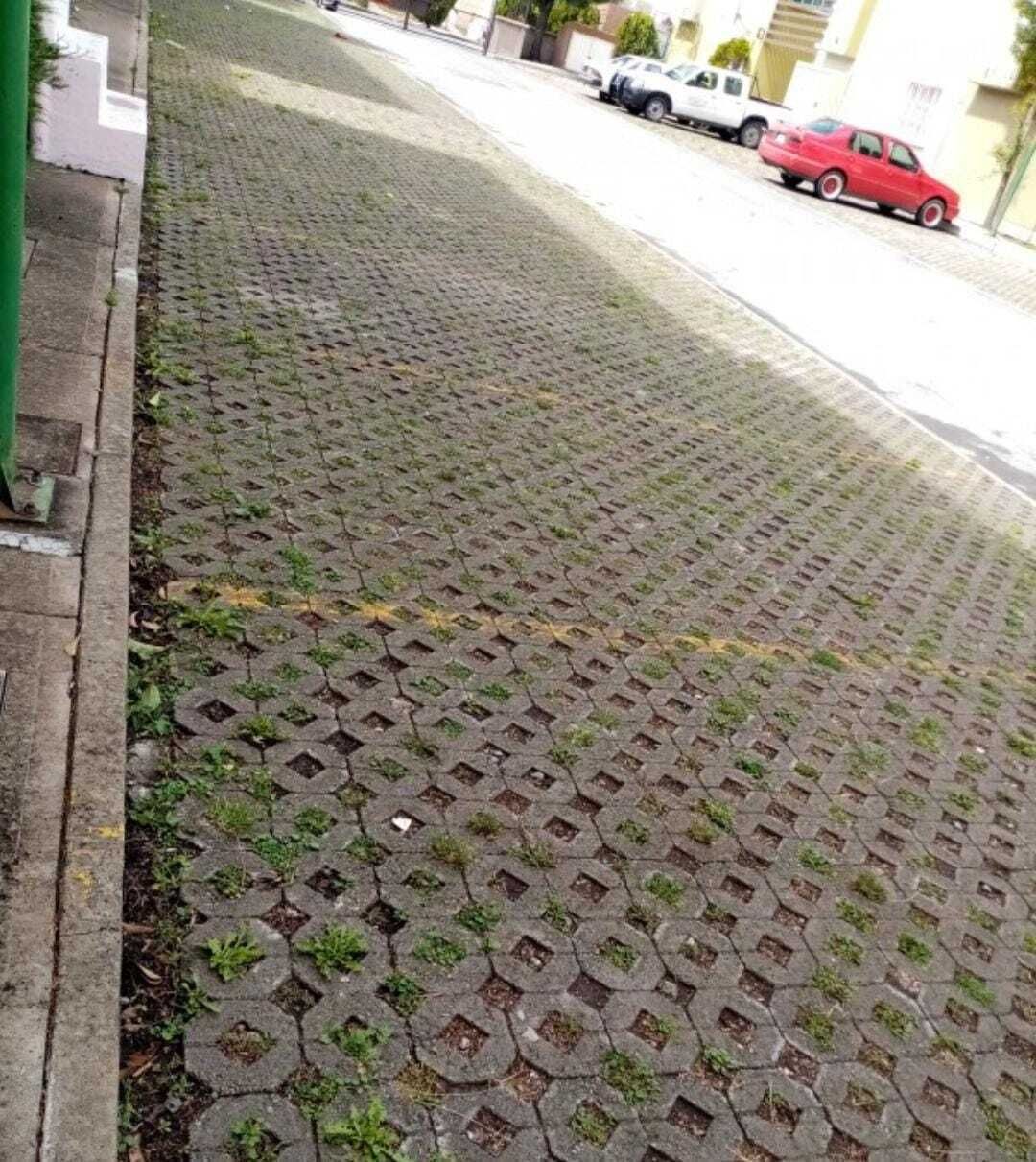 2 de 7