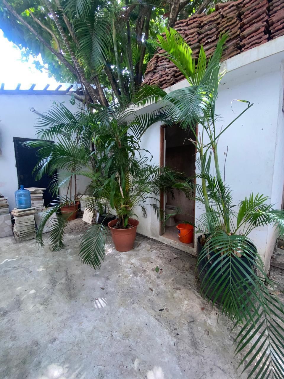 5 de 5