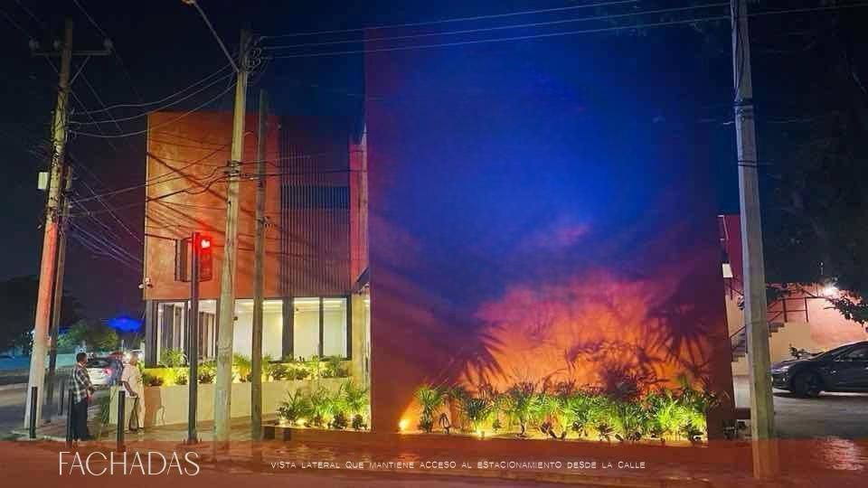 3 de 13