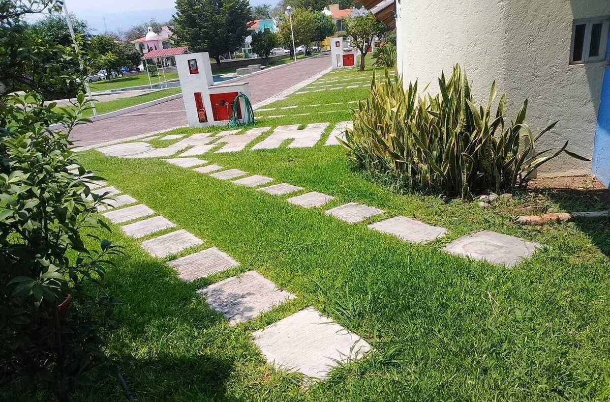 3 de 7