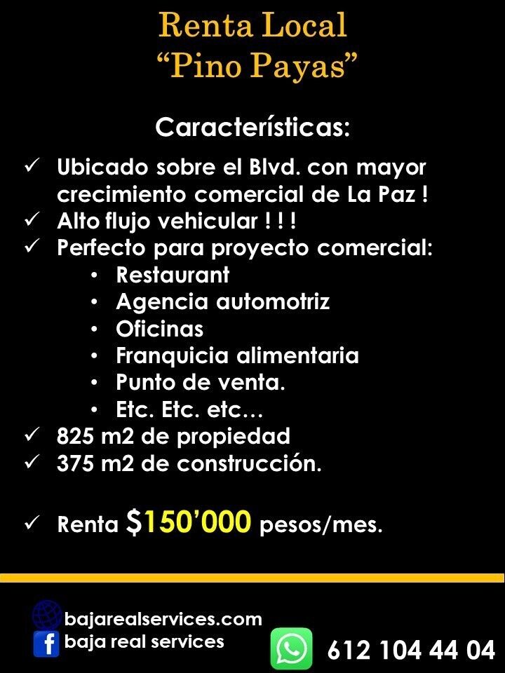 15 de 16