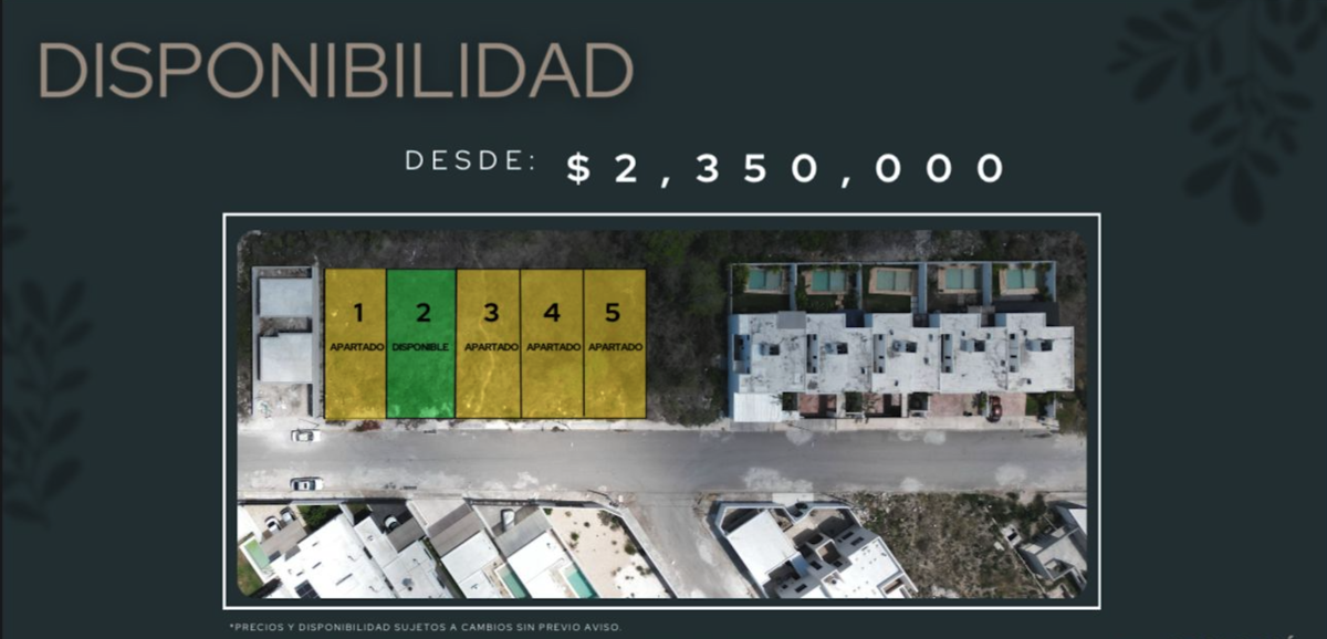 5 de 12