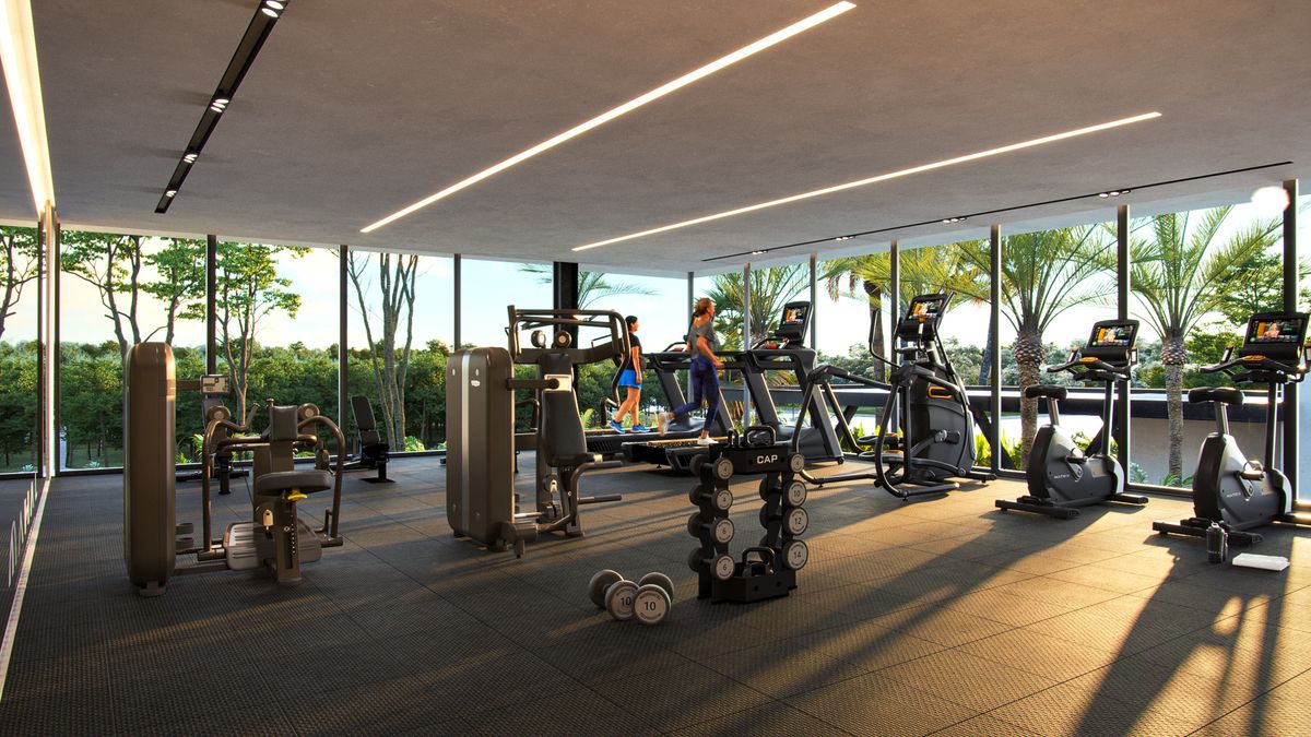 2 de 29: Gimnasio