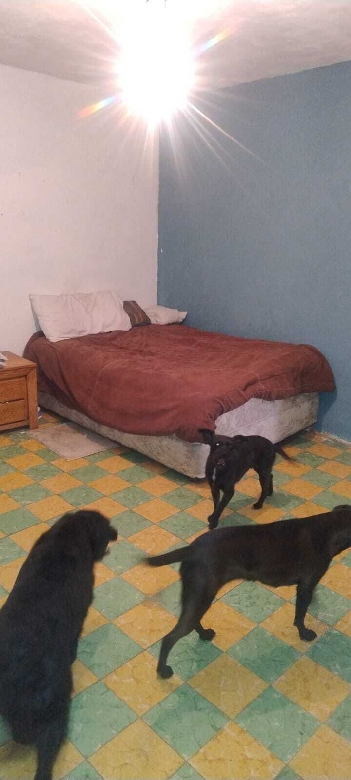 5 of 9