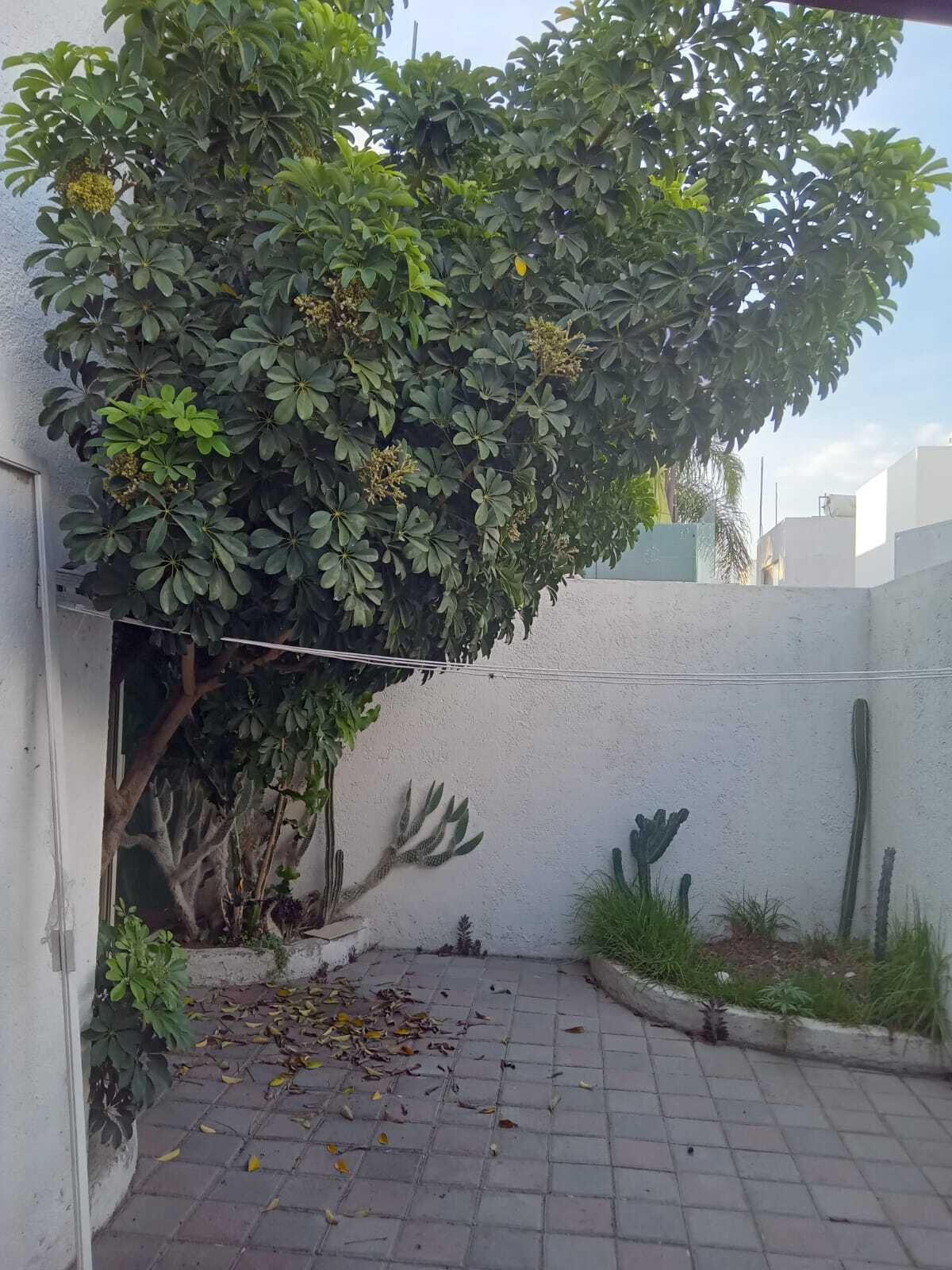 4 de 23