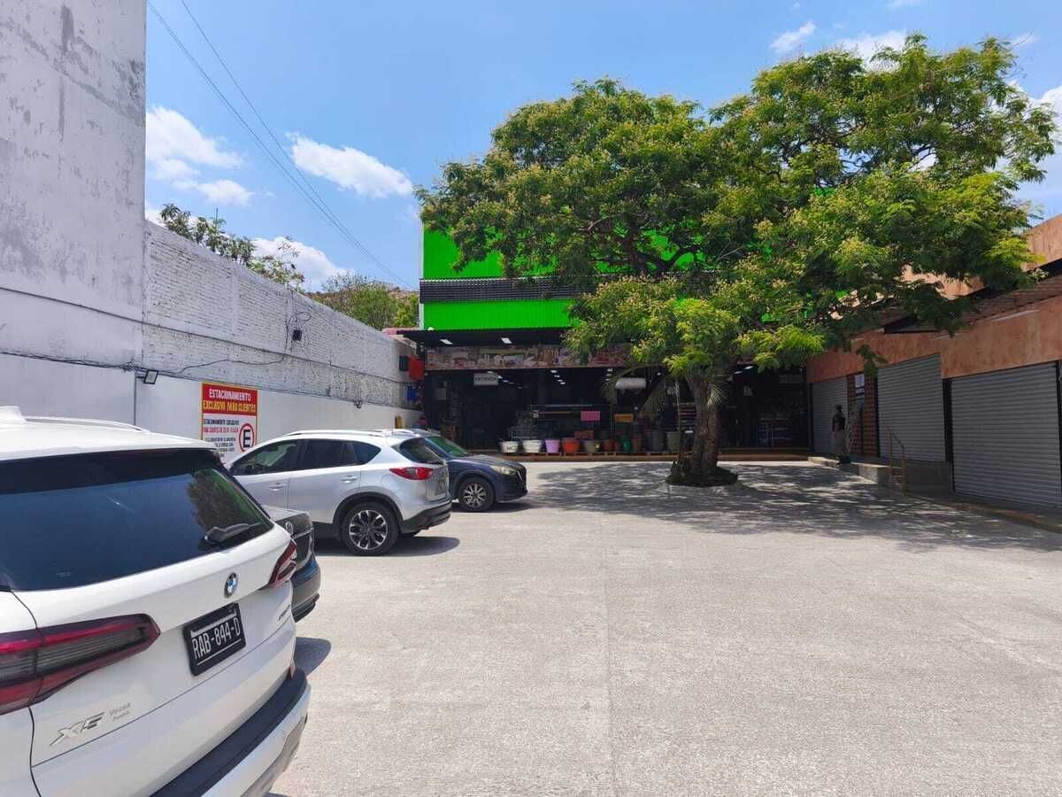 1 de 7