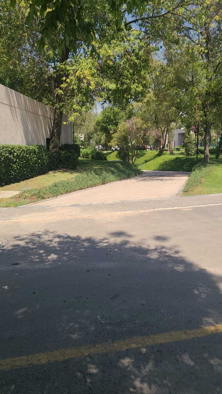 20 de 50