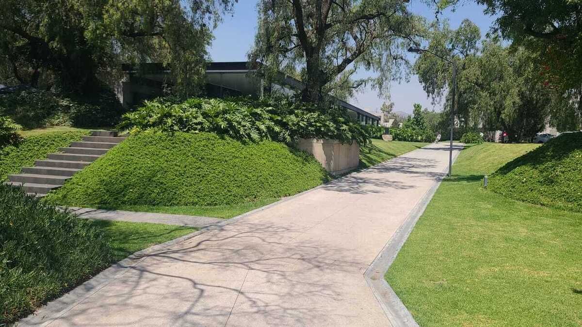 40 de 50