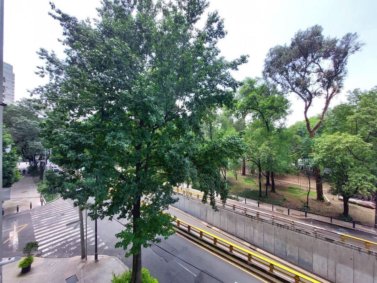3 de 21