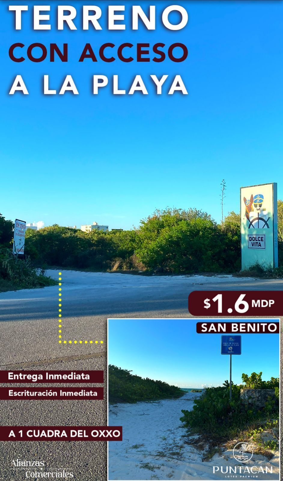 8 de 14