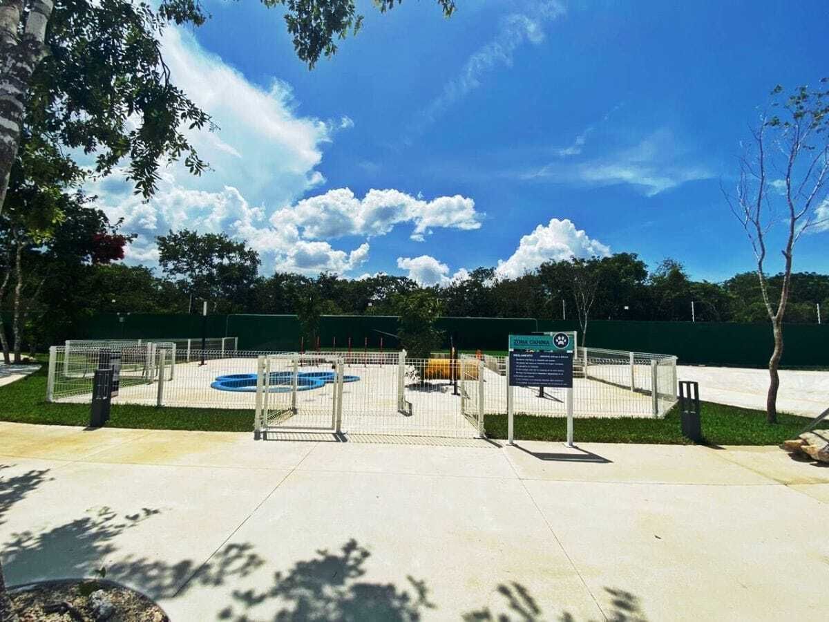 14 de 16