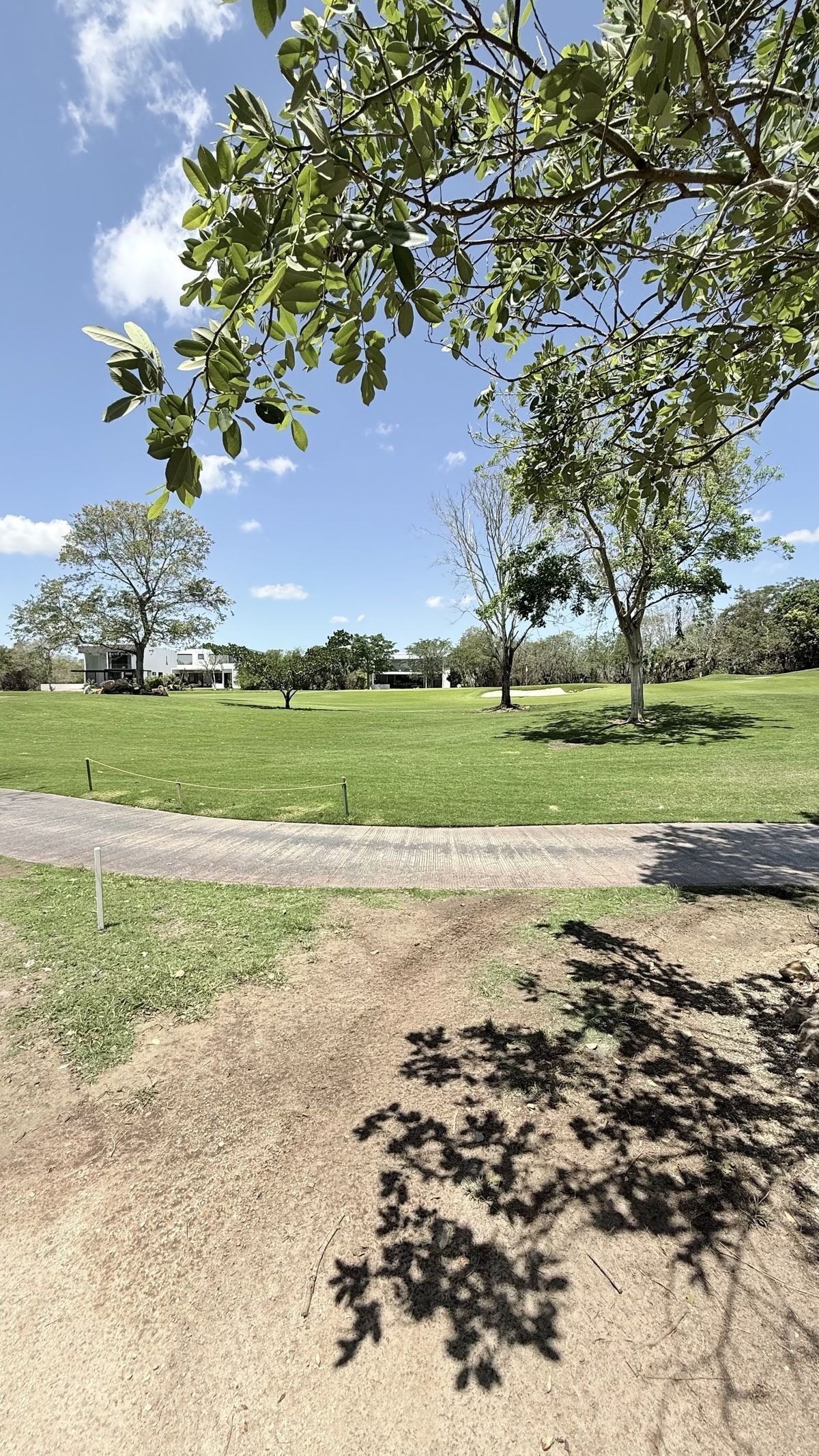 5 de 22