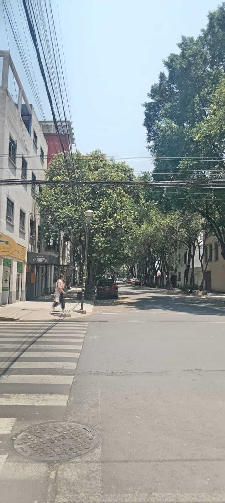 6 de 34