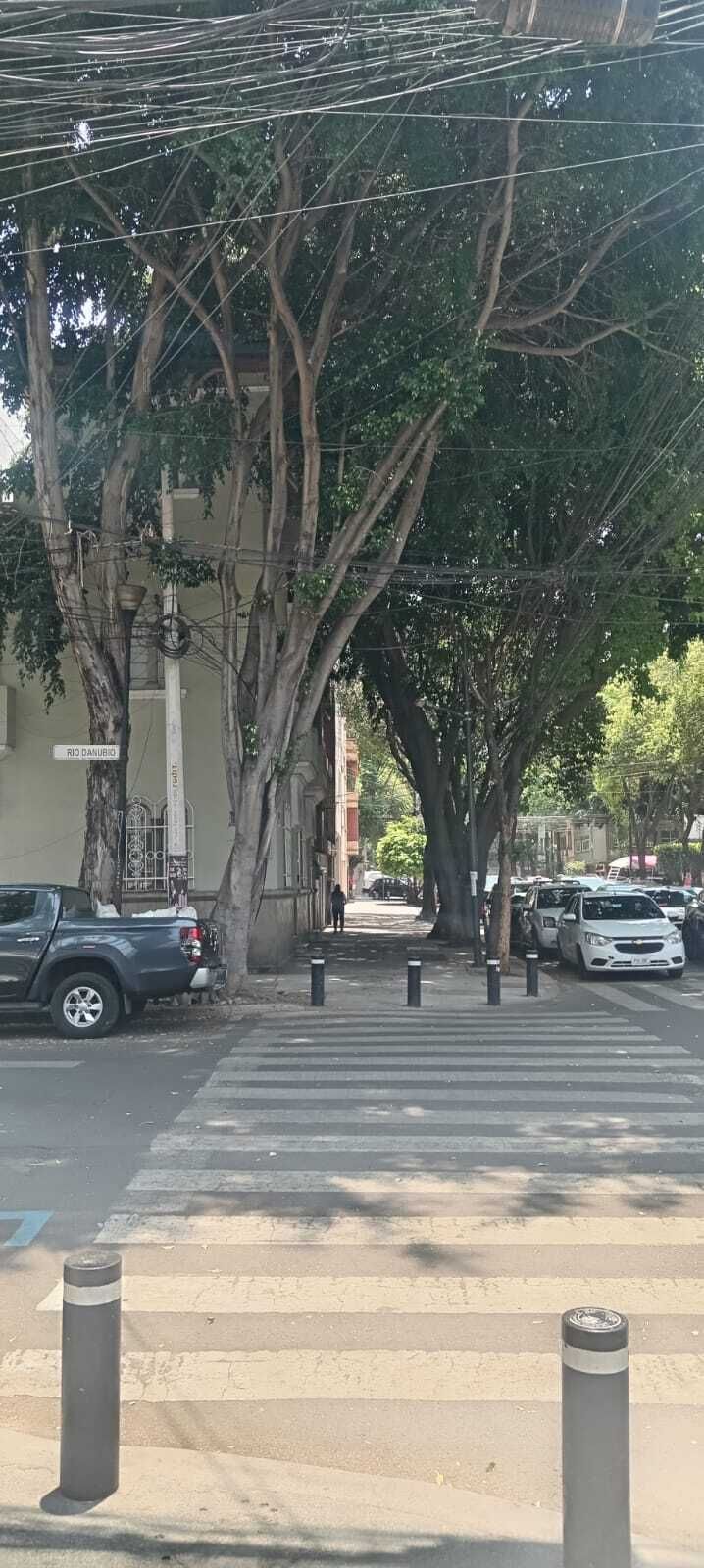 7 de 34