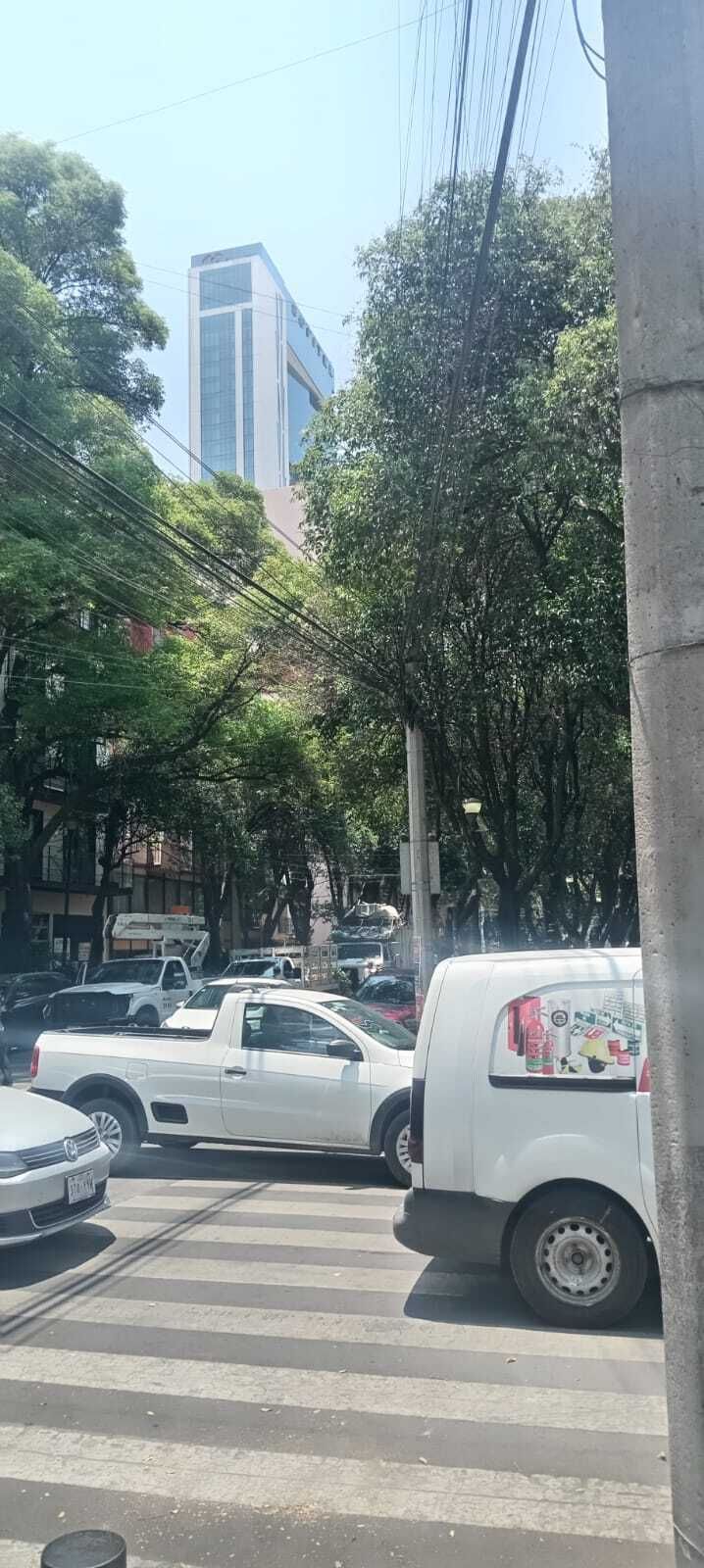 8 de 34