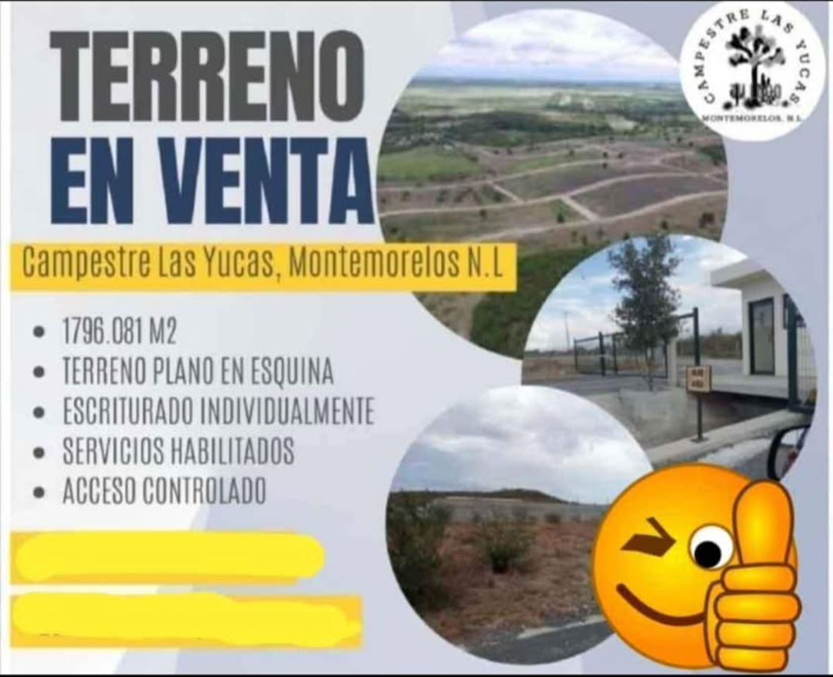 1 de 3