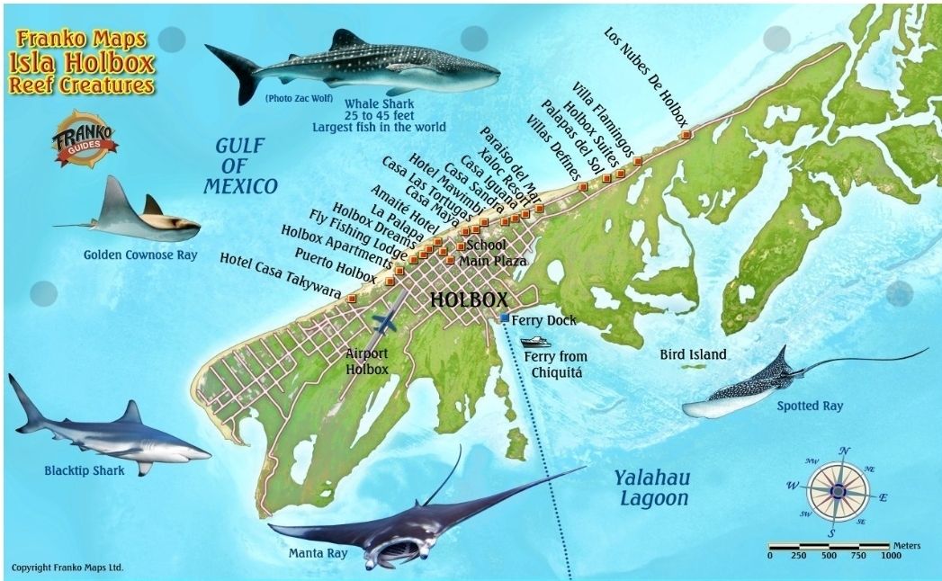 5 de 5: Mapa