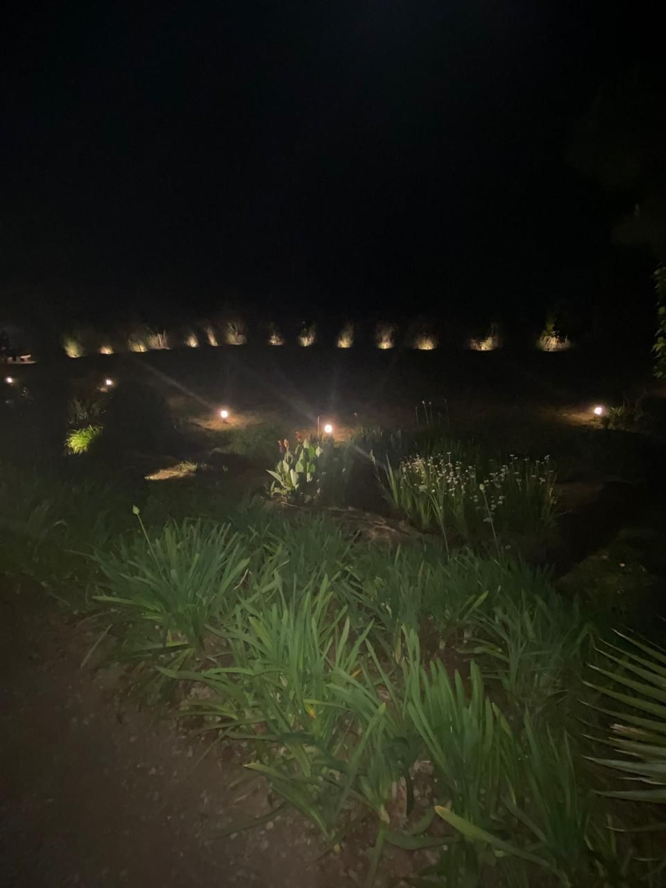 10 de 10
