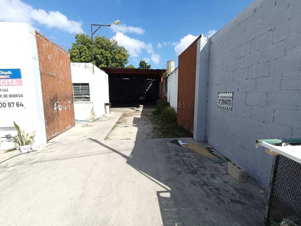 7 de 8