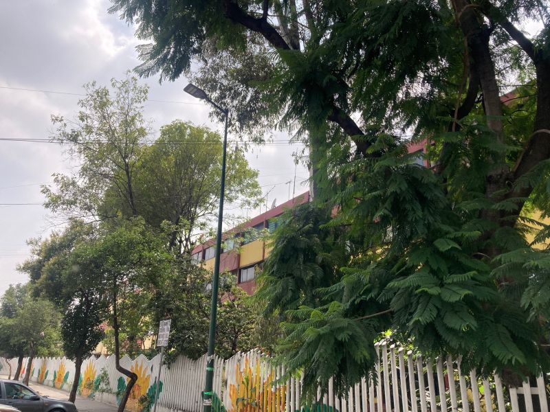 3 de 9