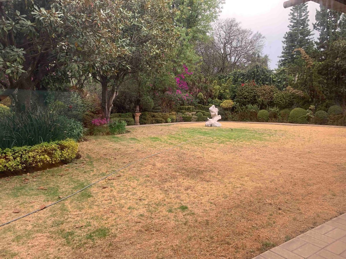 29 de 29