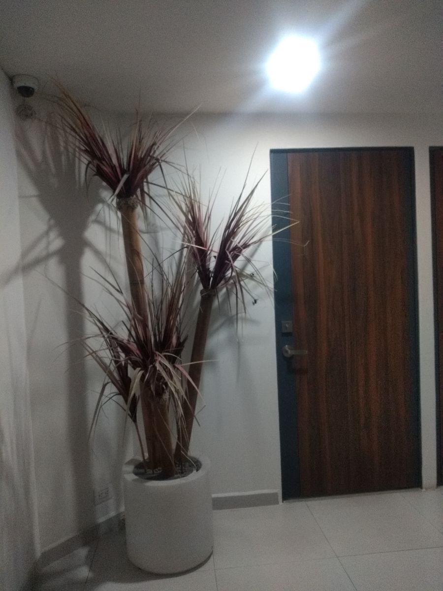 6 de 10