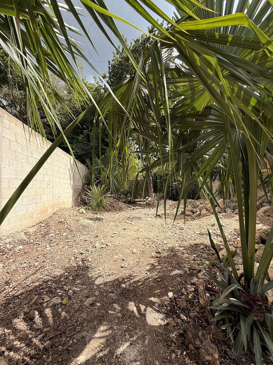 Casa em Mérida Centro, Mérida, foto 22 de 27