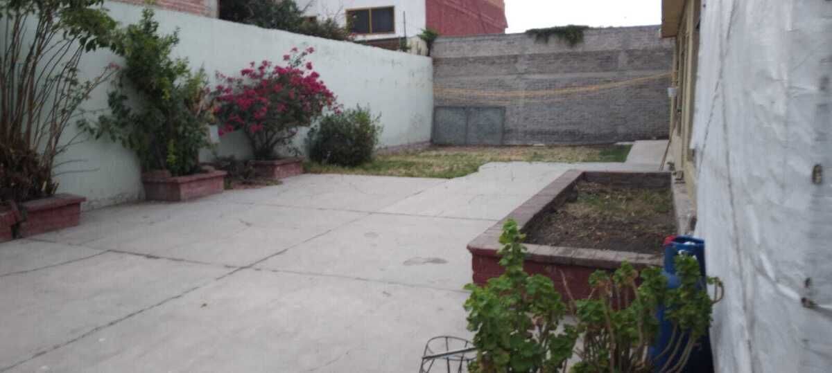 11 de 17