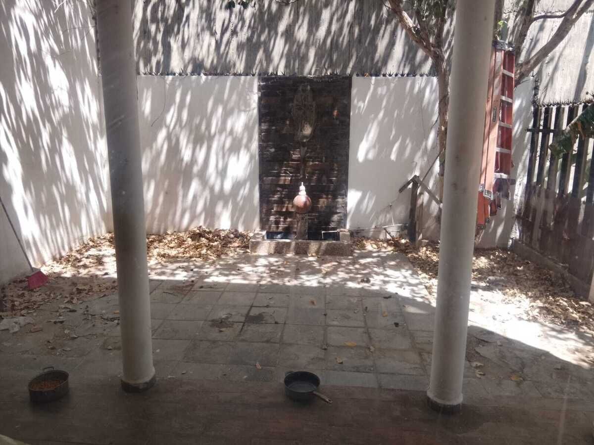8 de 11