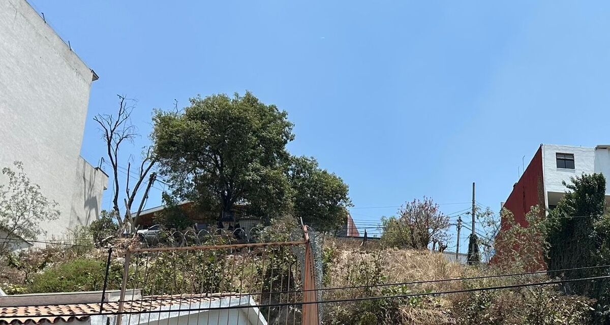 1 de 8