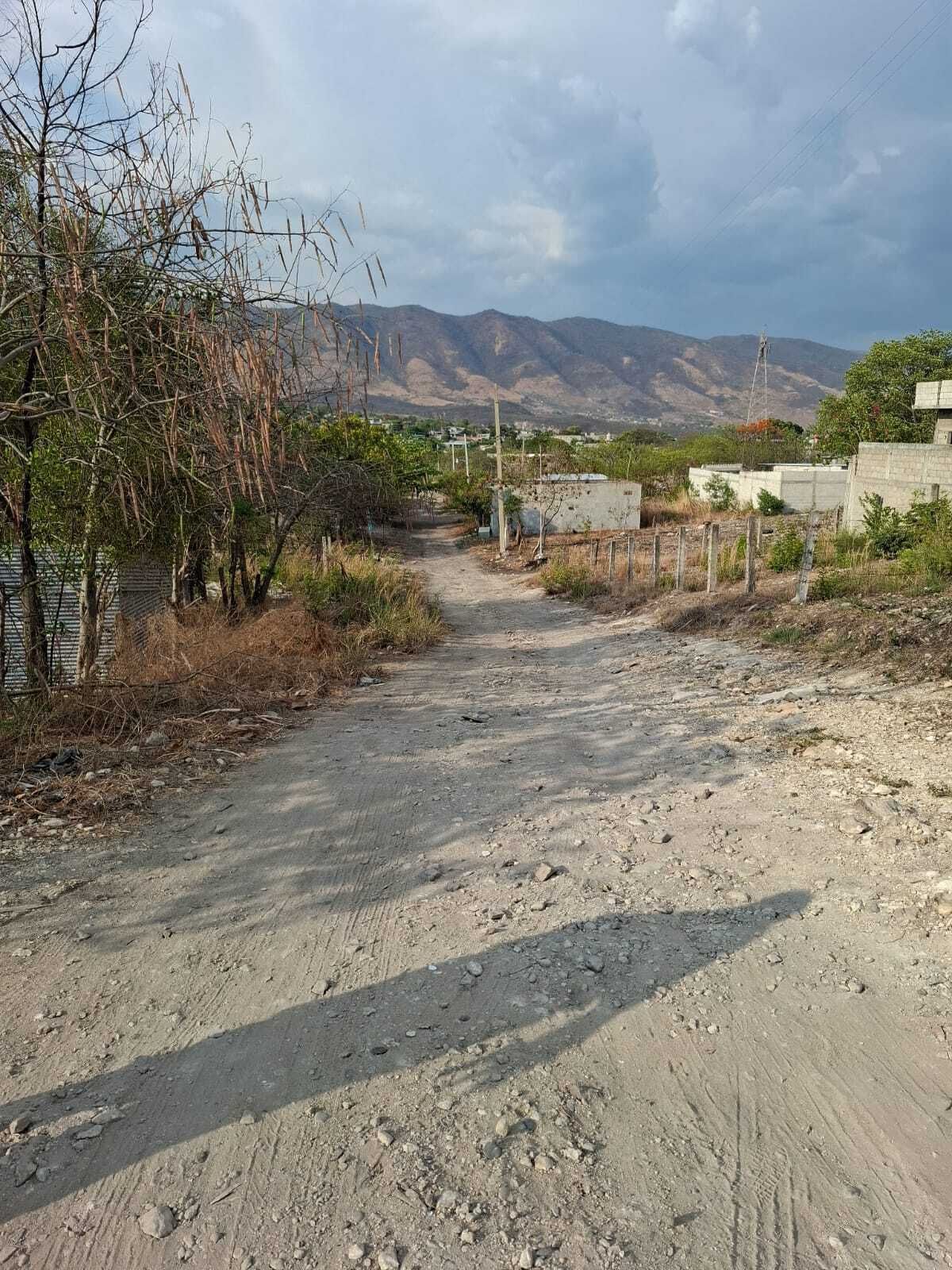 4 de 8