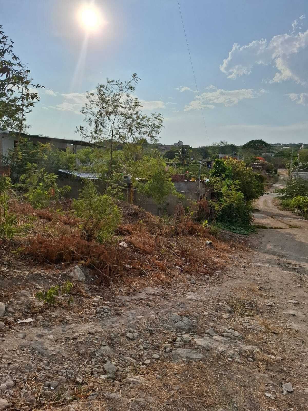 3 de 8