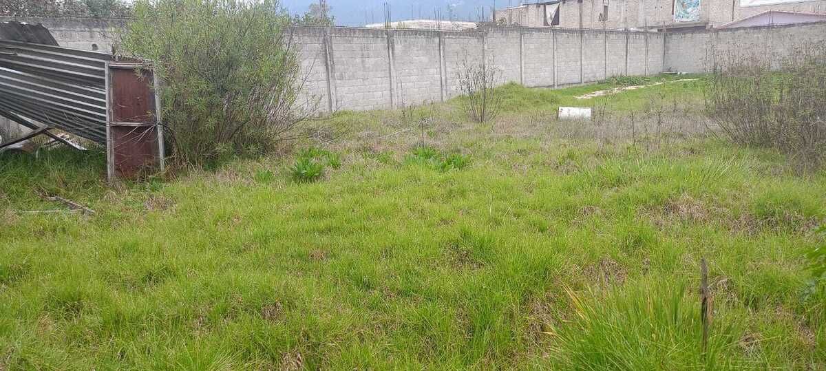 2 de 4