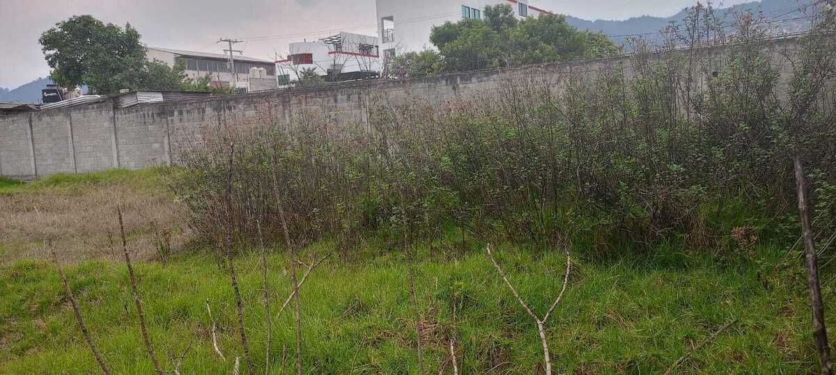 4 de 4