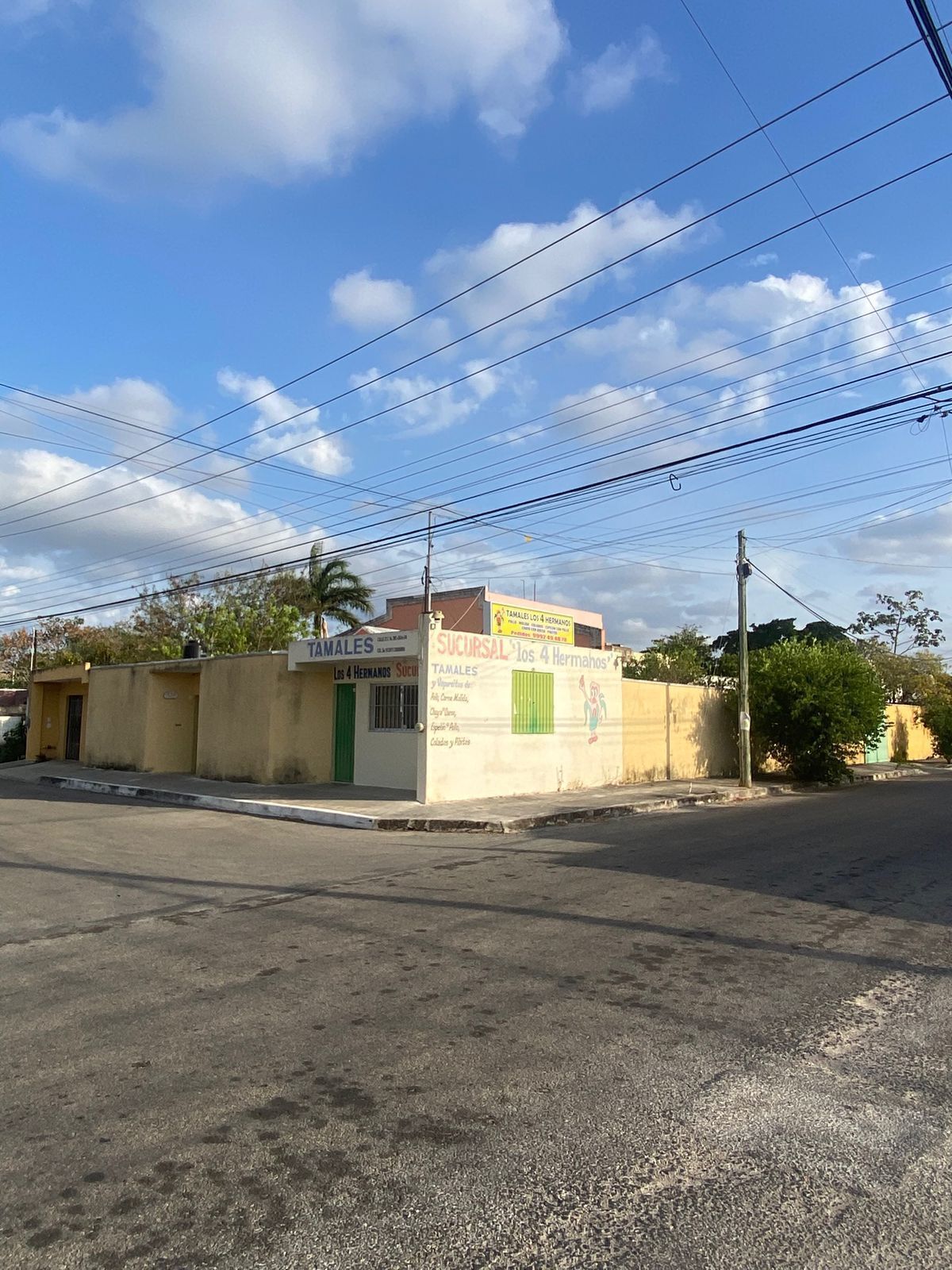 4 de 15