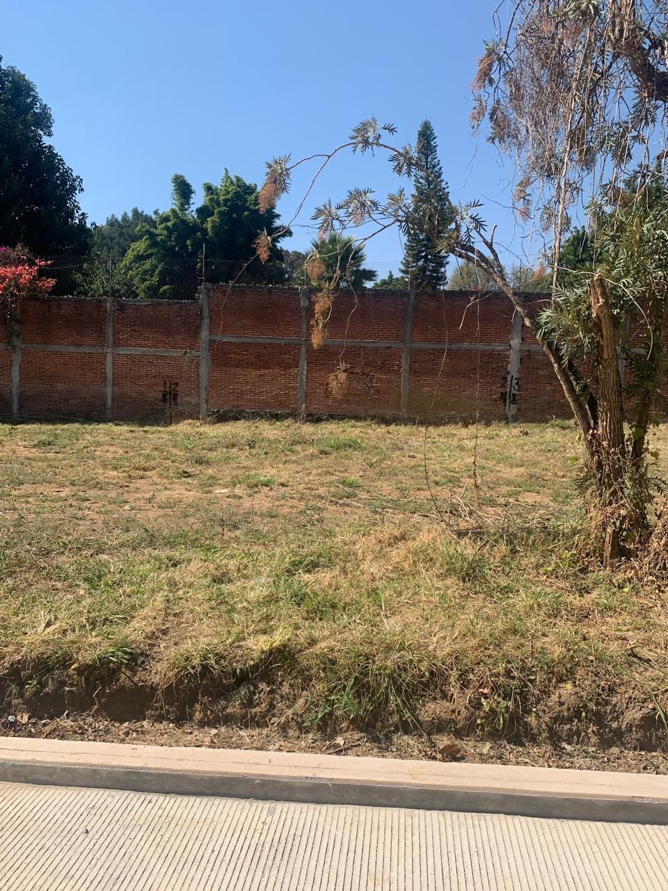 5 de 8