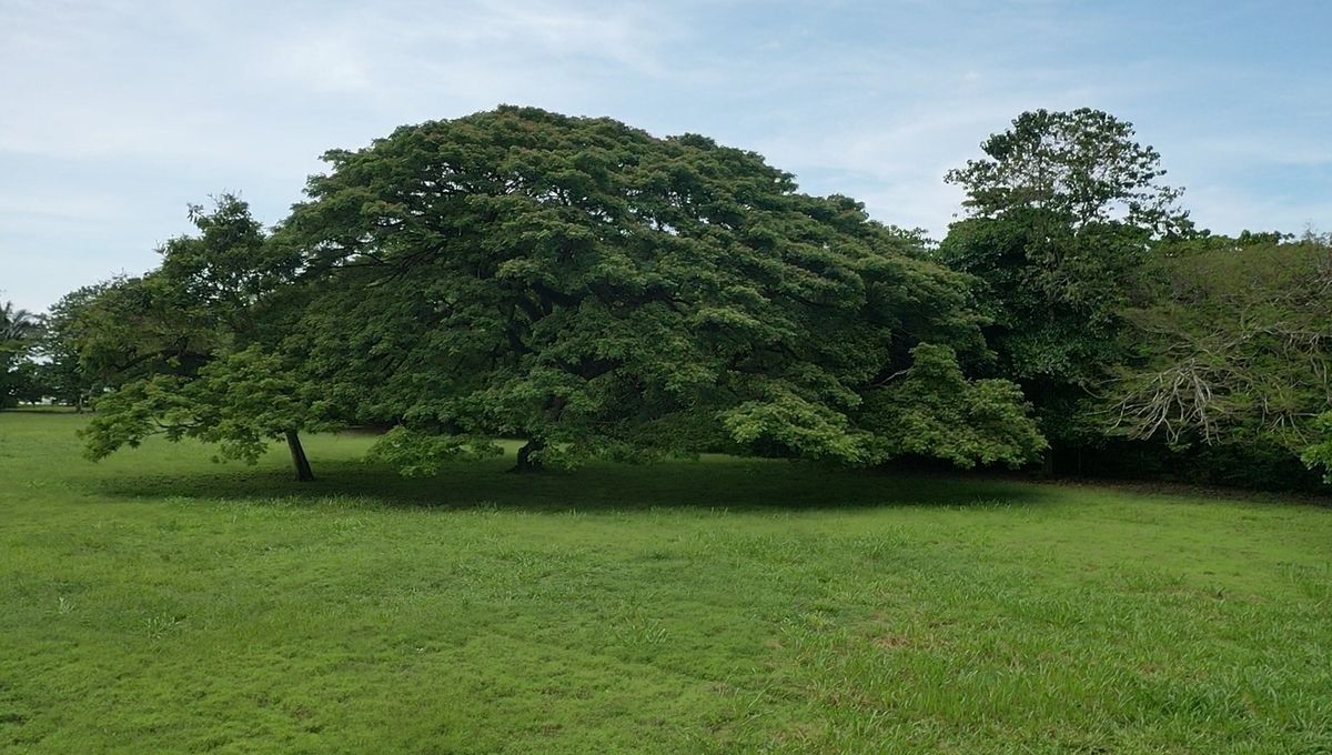 3 de 45